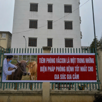 Ảnh đại diện