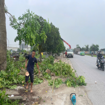 Ảnh đại diện